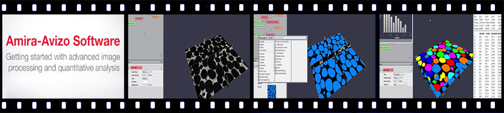 Work with AMIRA « Neutron Imaging