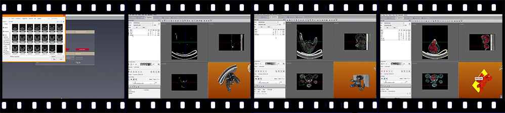 Work with AMIRA « Neutron Imaging